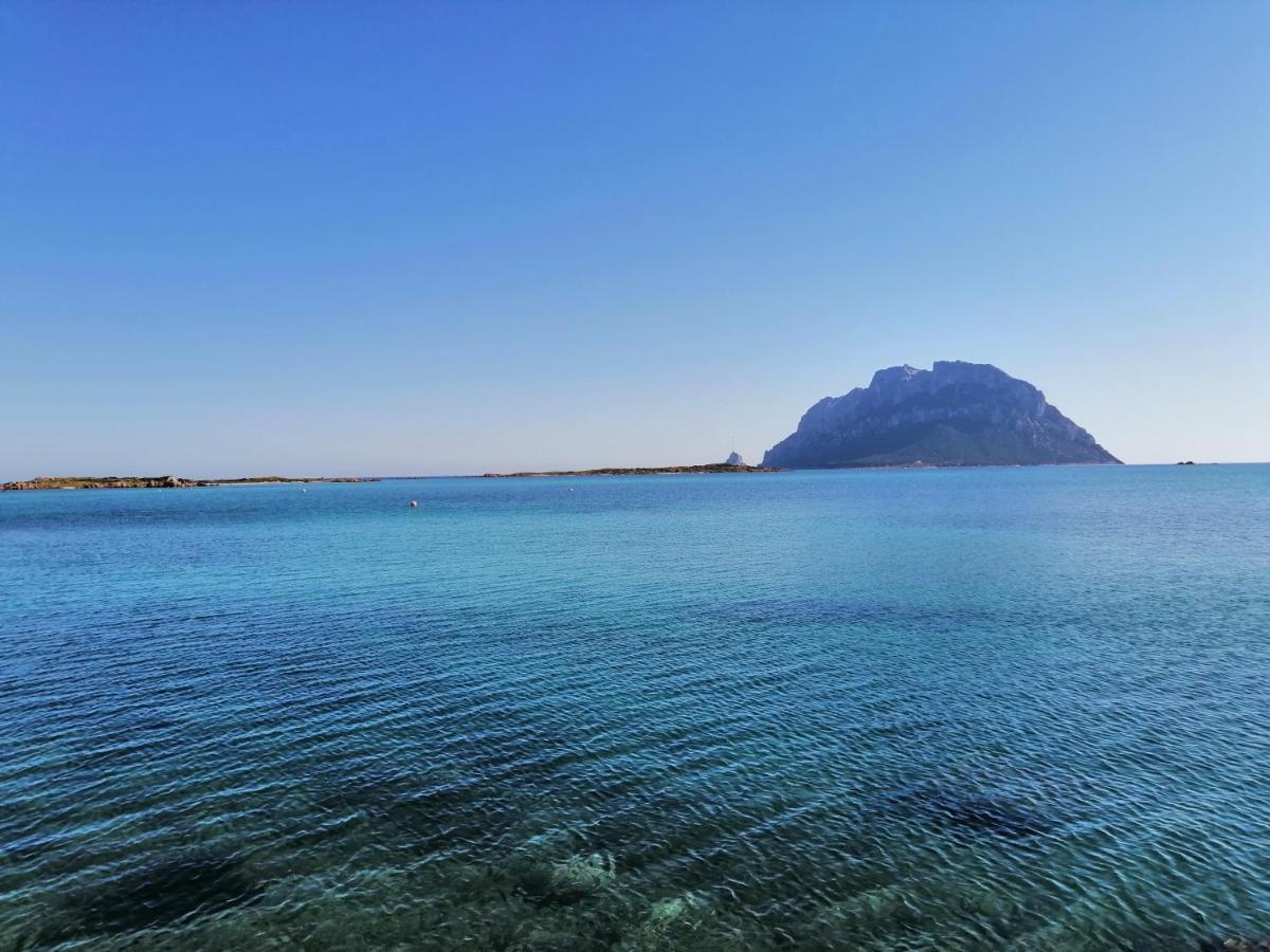 Aria Di Vacanza - Molara Loiri Porto San Paolo Εξωτερικό φωτογραφία